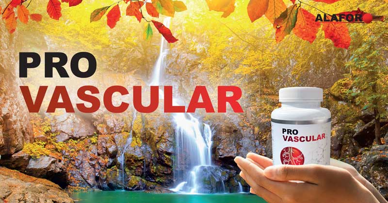 PRO VASCULAR - doplněk stravy